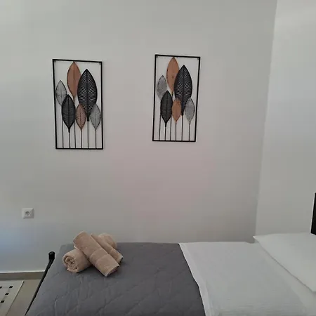 Casa Di Pino In Paradisi Square Near Airport