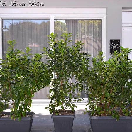 Casa Di Pino In Paradisi Square Near Airport דירה Paradeísion