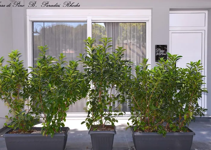 Casa Di Pino In Paradisi Square Near Airport شقة باراديسيون